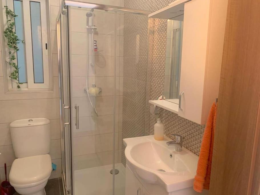 Comfortable ! Stylish ! Fully Air Conditioned !